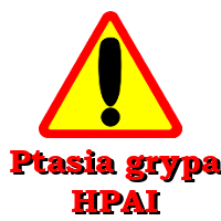 banner HPAI 1